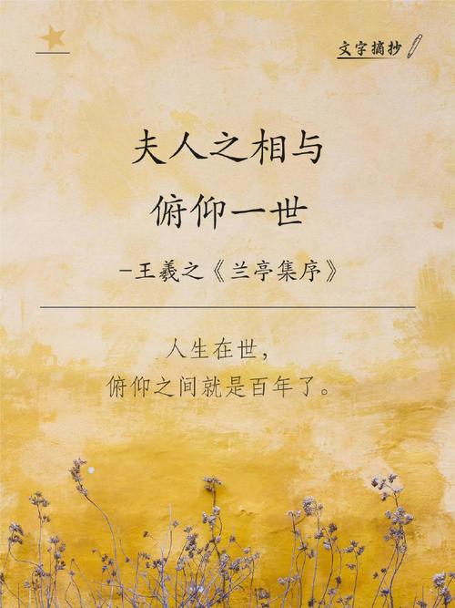 《夫人之相与,俯仰一世》小说在线阅读