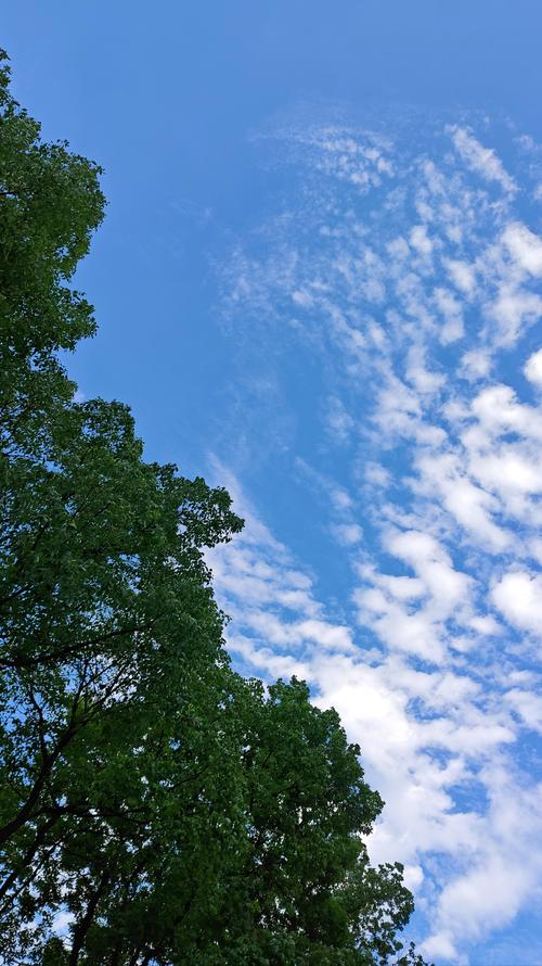 桌面天气