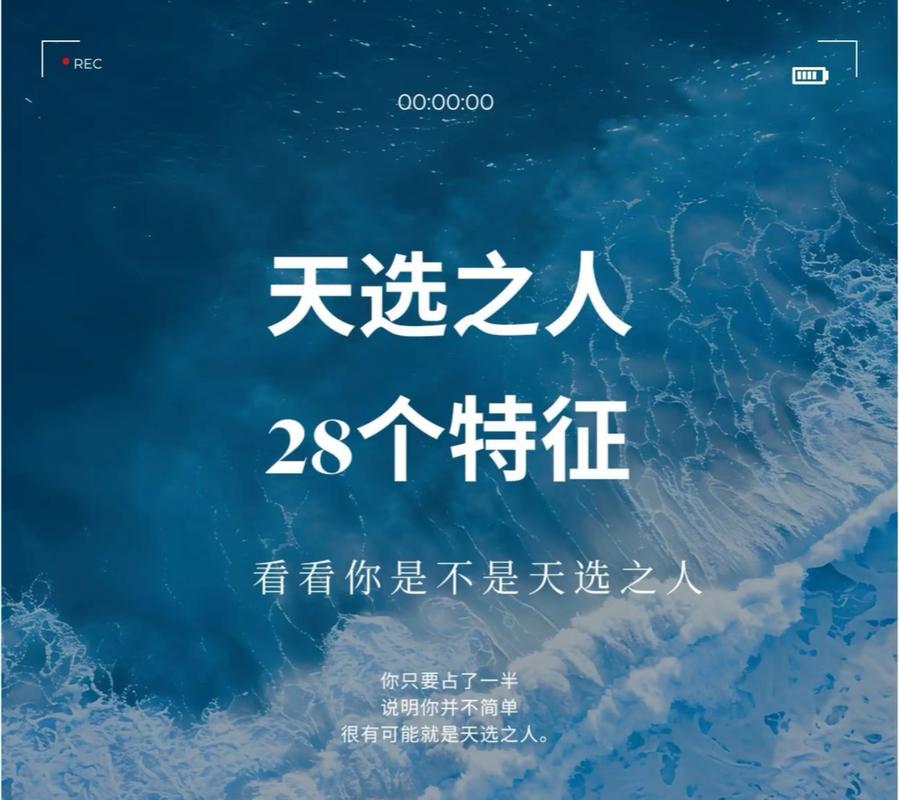 天选之人是什么意思