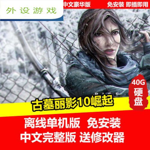 古墓丽影崛起修改器