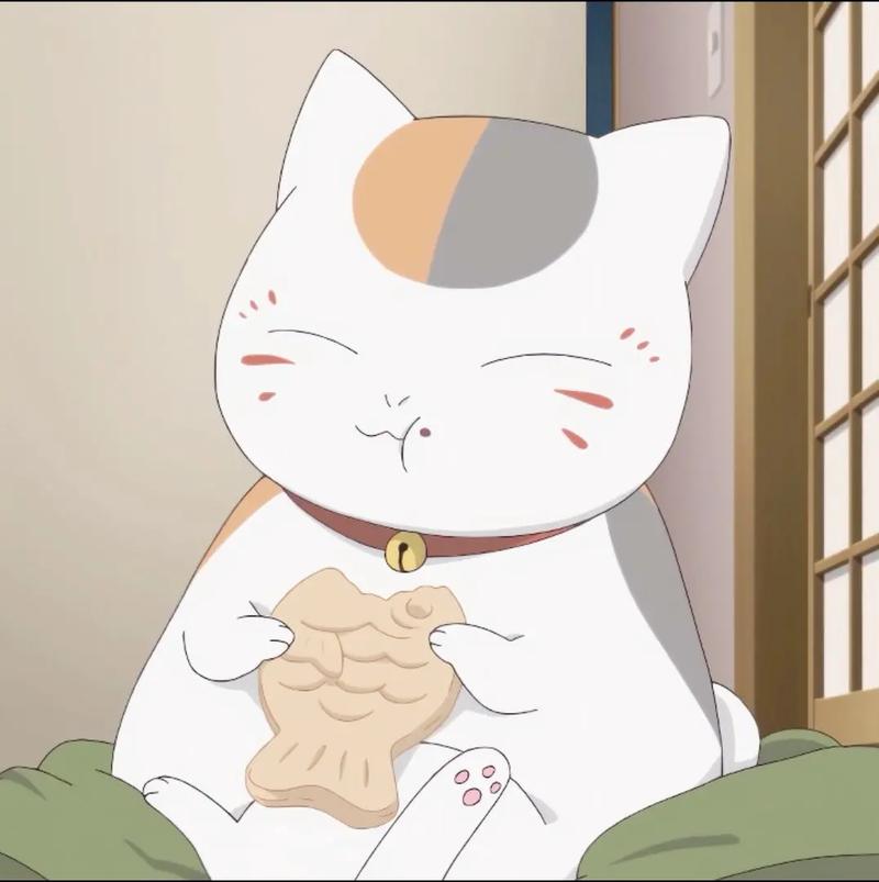 猫咪老师头像