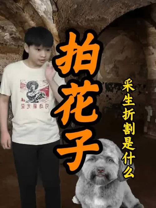 采生折割是什么意思