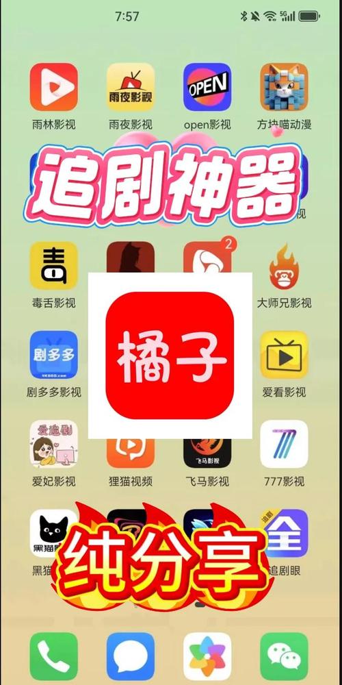 橘子追剧官方版截图