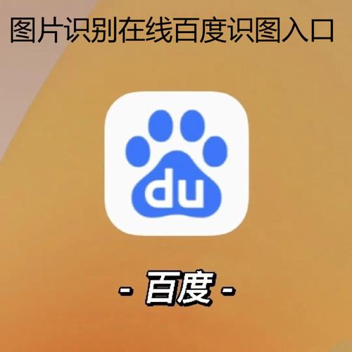 百度试图