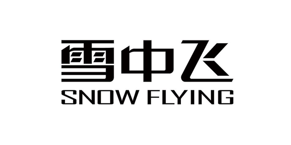 寒冷飞行