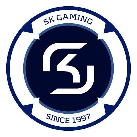 Sk战队