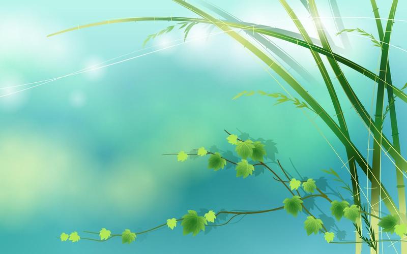 搜狗壁纸