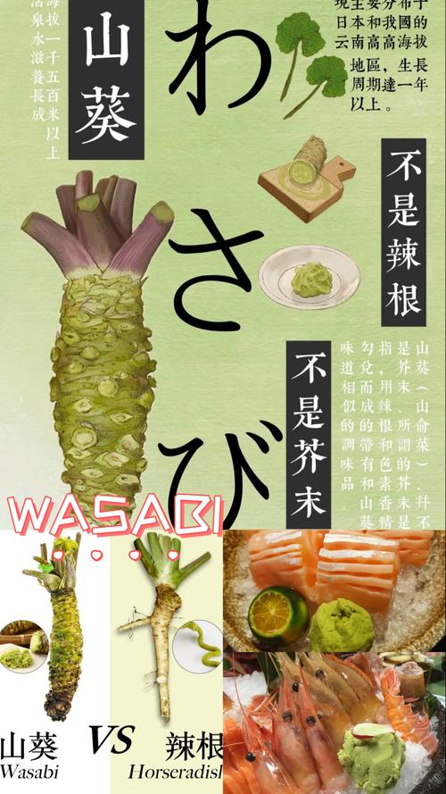 wasabi