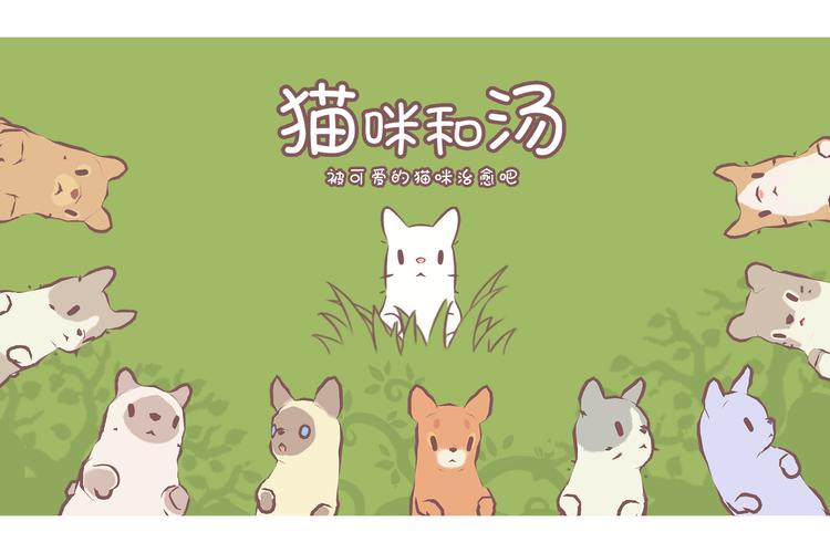 《猫咪和汤》最终结局曝光!