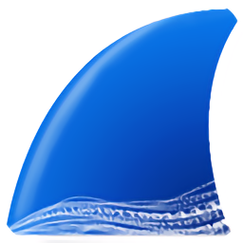 wireshark中文