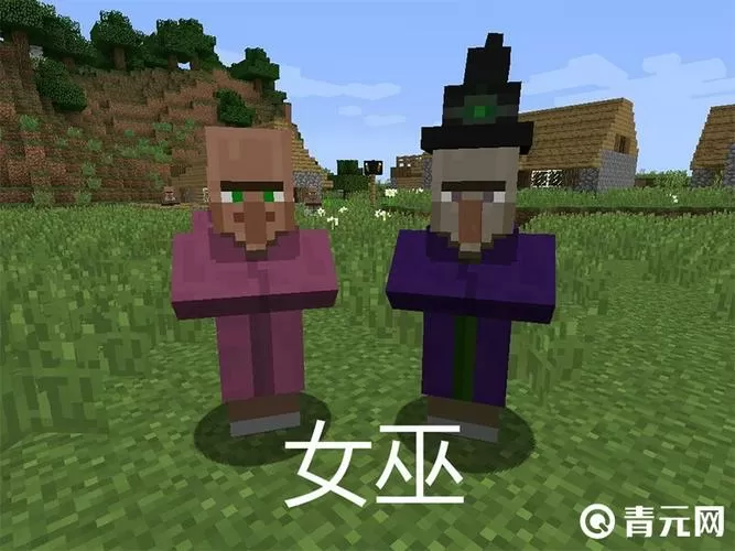 我的世界女巫刷出条件