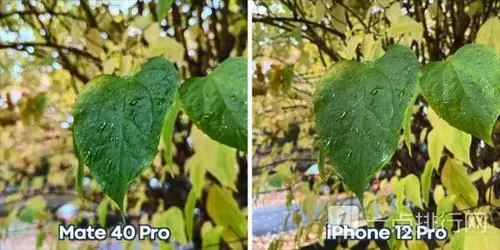 mate40pro相机拍照颜色偏黄