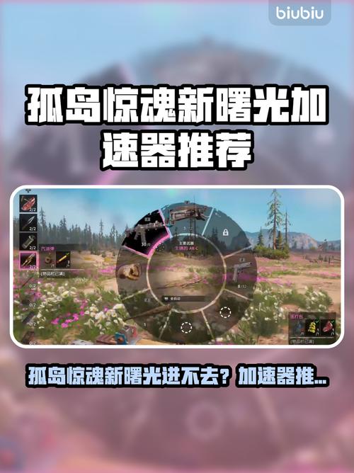 孤岛惊魂新曙光进不去?速看加速器推荐