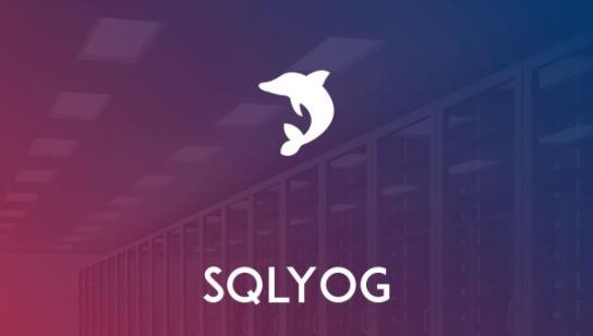 SQLyog2025最新pc版