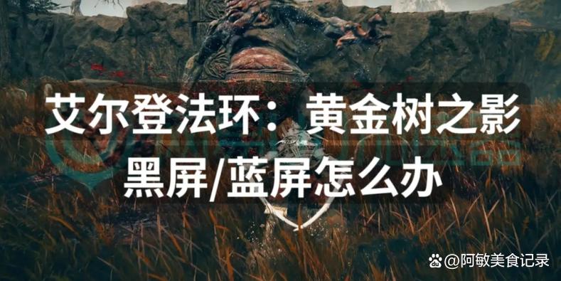 艾尔登法环闪退进不去咋办艾尔登法环闪退怎么解决