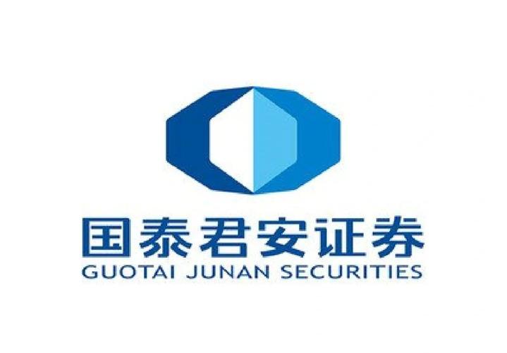 国泰君安大智慧电脑版2025最新