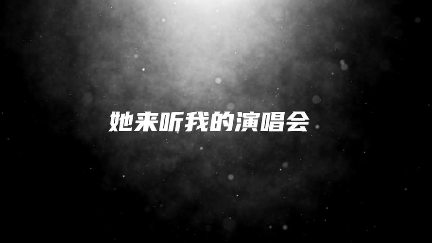 她来听我的演唱会