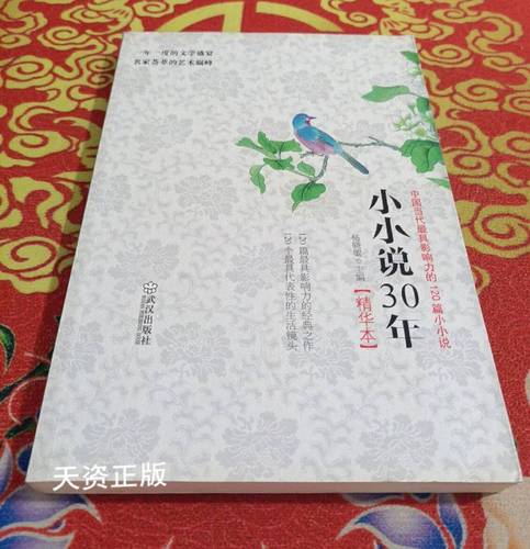 小小说30年精华本:中国当代最具影响力的120篇小小说