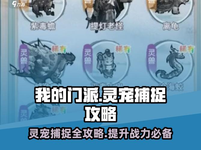 我的门派灵宠捕捉超全攻略