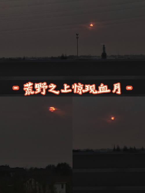 VRising血月有什么用吸血鬼崛起VRising血月作用分享截图
