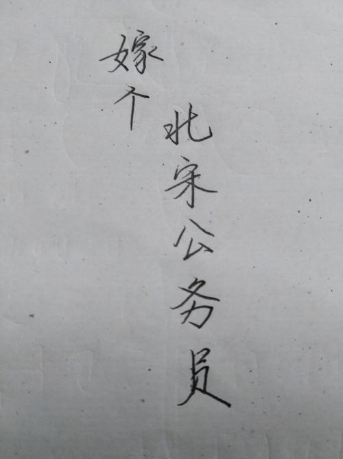 嫁个北宋公务员