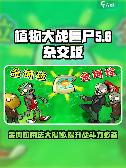 植物大战僵尸杂交版金坷垃用法大揭秘!