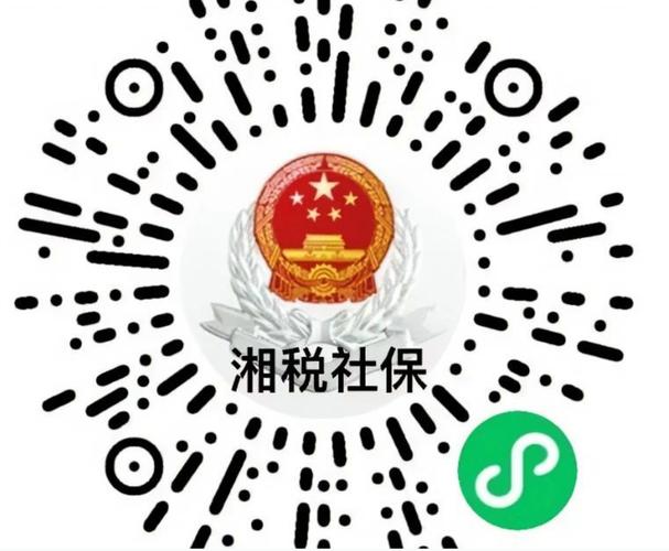 湘税社保缴费app安装缩略图