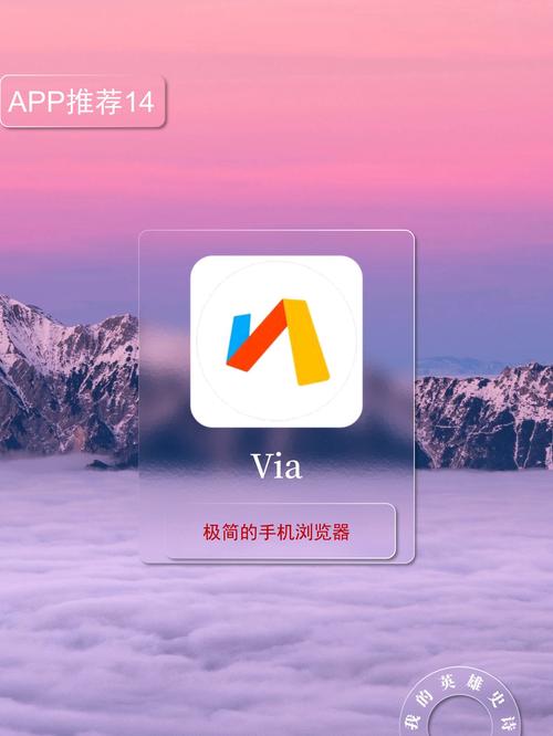 Via手机版