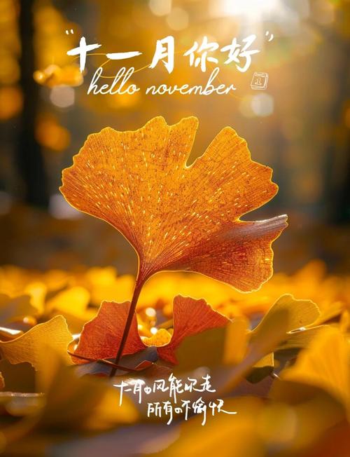 十一月请对我好一点清新风景图片十一月你好意境朋友