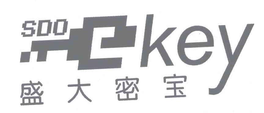 什么是盛大密宝?