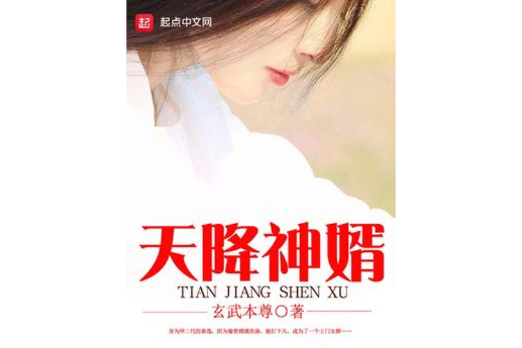 天降神婿(玄武本尊)全本在线阅读