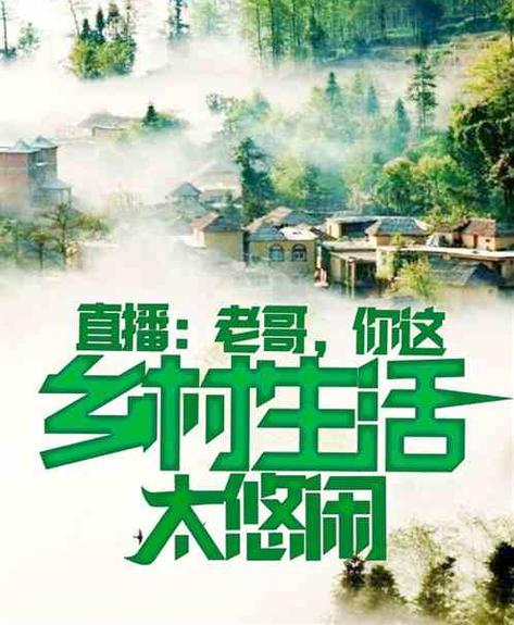 悠闲乡村直播间