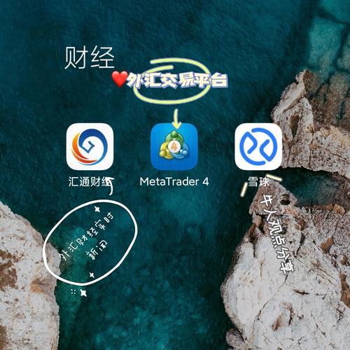 模拟外汇交易平台软件系统电脑版2025最新
