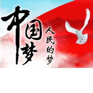 凝聚力量:中国梦网上系列谈精彩内容汇编
