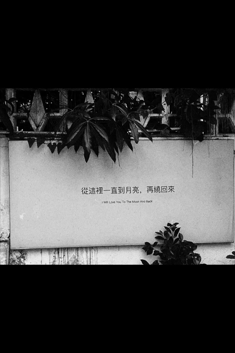 手机壁纸孤独伤感黑白带字我是街上的游魂你是闻到我
