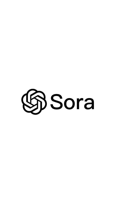 sora软件
