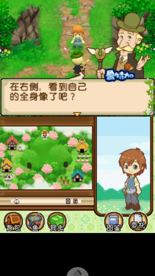 牧场物语双子村介绍