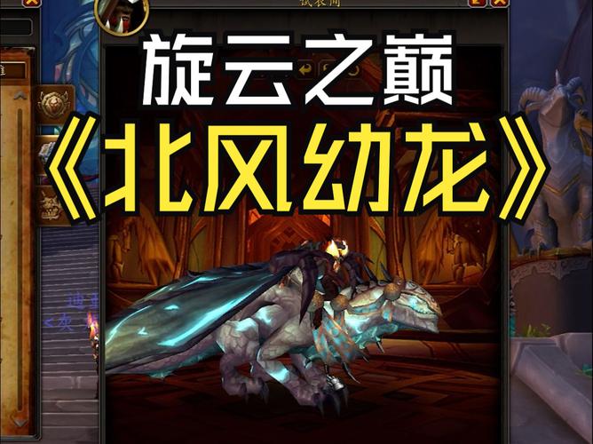 魔兽世界盗贼单刷漩涡尖塔(旋云之巅)轻松拿北风幼龙