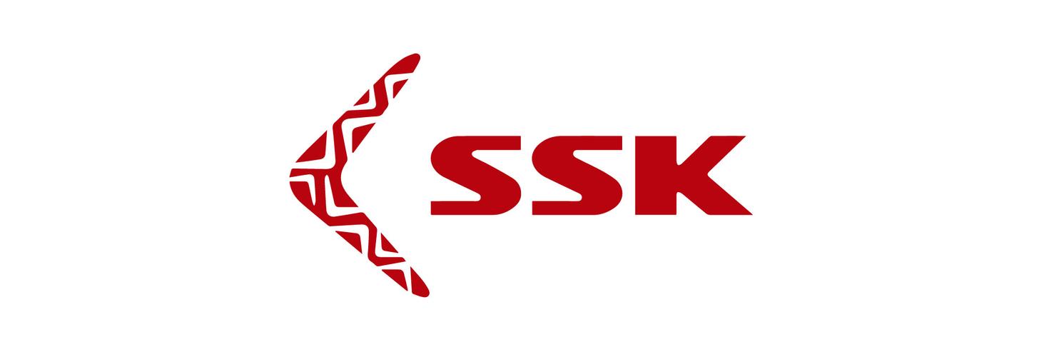 SSK飚王U盘修复工具V1.02官方绿色版