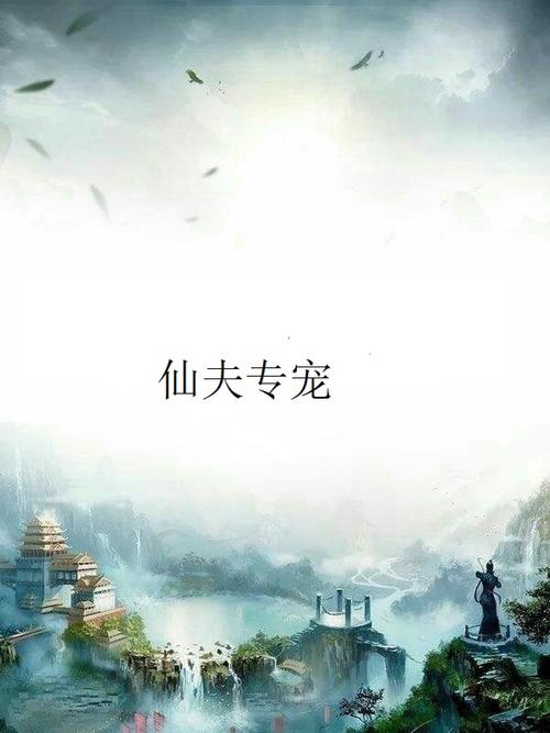 仙夫专宠截图