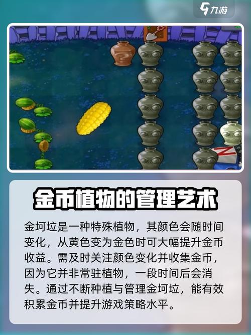 植物大战僵尸杂交版金坷垃有什么用介绍
