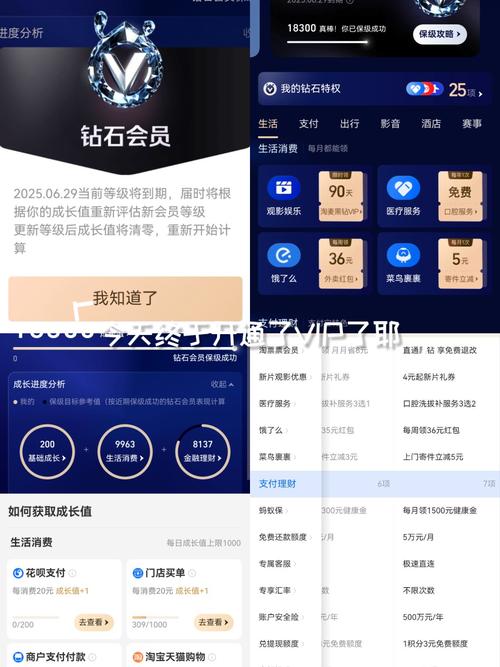 支付宝会员权益有什么用支付宝会员等级怎么提升
