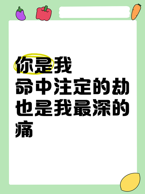 我的命中注定你的生死劫