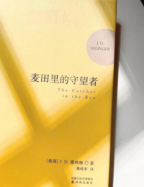 麦田里的守望者(中英全本)