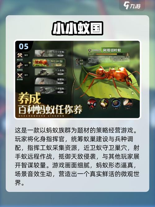 值得玩的蚂蚁游戏合集2025受欢迎的蚂蚁游戏大全截图