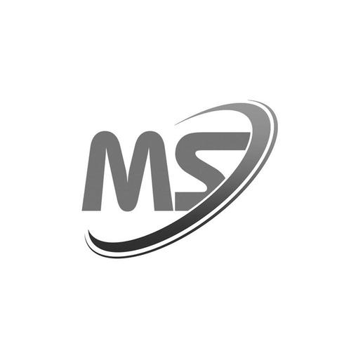 全中文MS