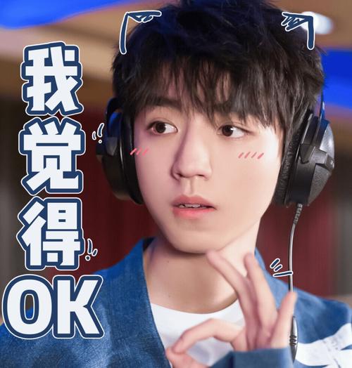 王俊凯表情包tfboys王俊凯表情图片带字截图