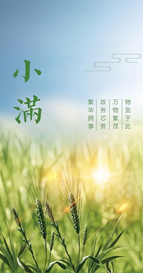 二十字节气小满经典说说2021小满节气快乐正能量祝福图标