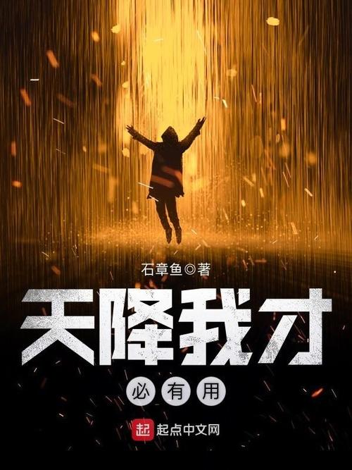 天降我才必有用(石章鱼)小说在线阅读