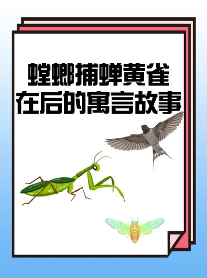 613,螳螂捕蝉黄雀在后,天下第二在线阅读
